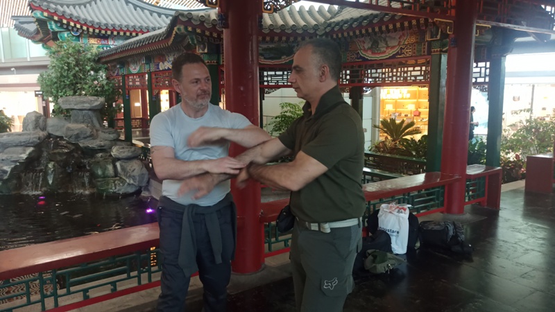 hong kong kung fu academy di Sifu Salvatore Mezzone, arti marziali wing chun, weng chun GM Michael Tang, tai chi quan, sanda e sport da combattimento, shaolin cina (2)